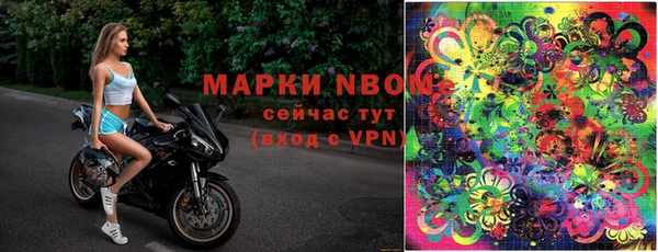 дмт Горнозаводск