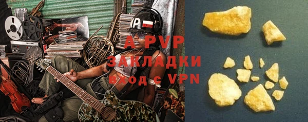ПСИЛОЦИБИНОВЫЕ ГРИБЫ Верея