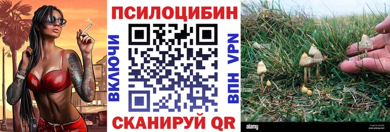 Псилоцибиновые грибы мицелий  кракен онион  Зима 